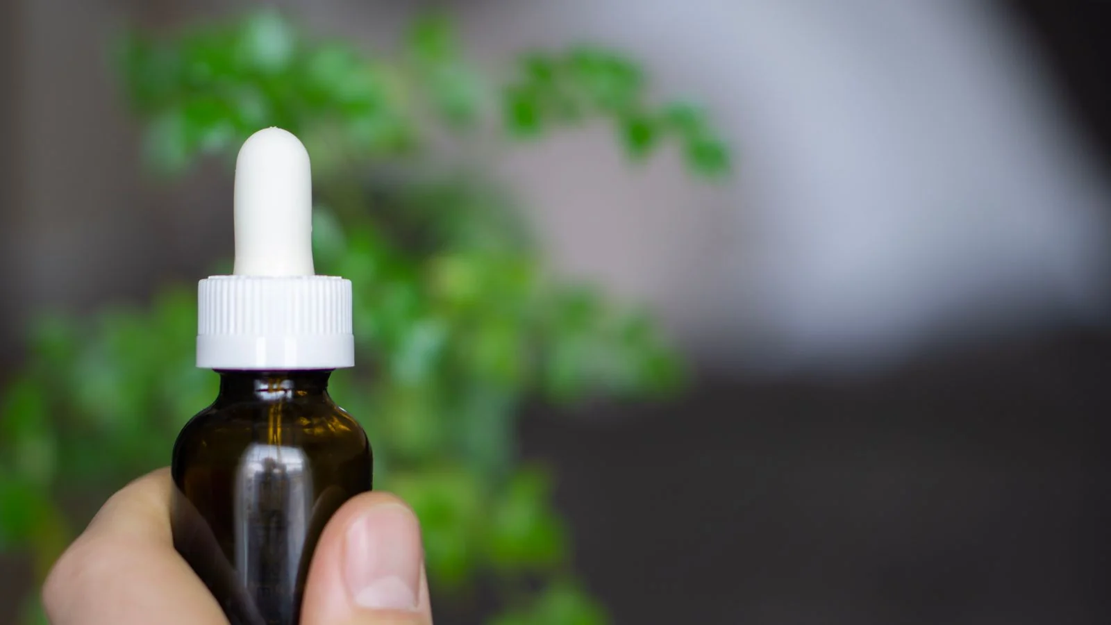 AEO for CBD Brands: 6 Moves ChatGPT Actually Rewards