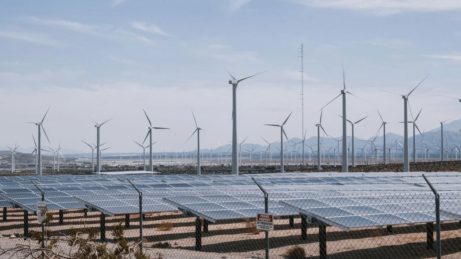 AEO for CleanTech and Green Businesses (6 Plays)