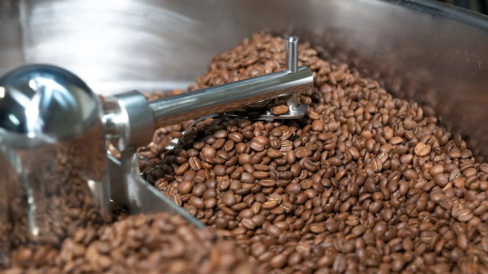AEO for Coffee Roasters (The 5-Signal Playbook)