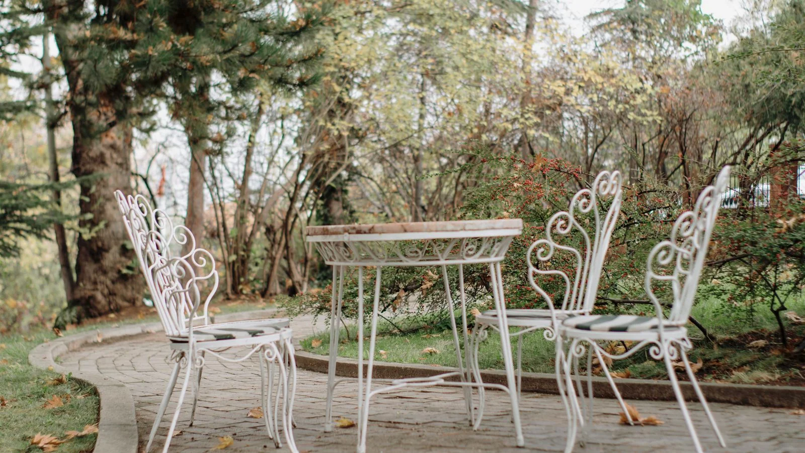 Tranquil patio with ornate white chairs and dense greenery, the residential project a client asks about.