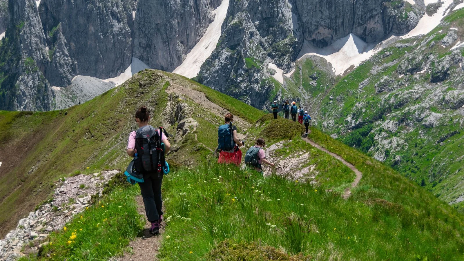 AEO for Tour Operators (6 Moves That Get You Named)