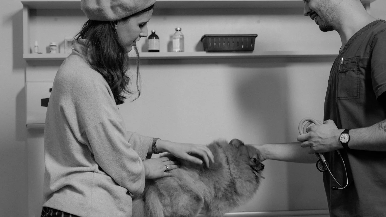 A pet owner watches as a veterinarian consults with her about her dog
