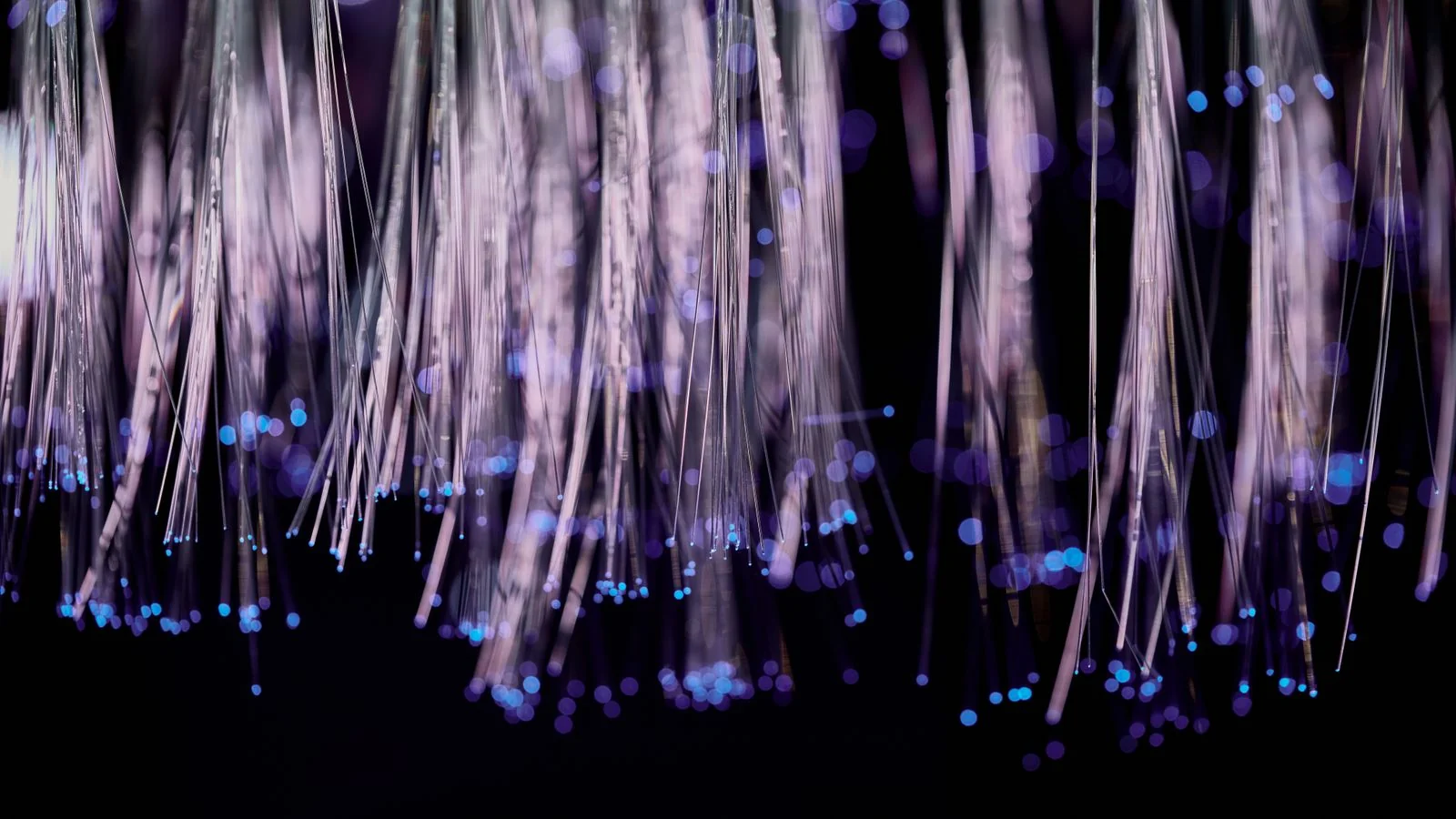 Glowing blue fiber optic cables, the infrastructure carrying an explosion of machine-made content