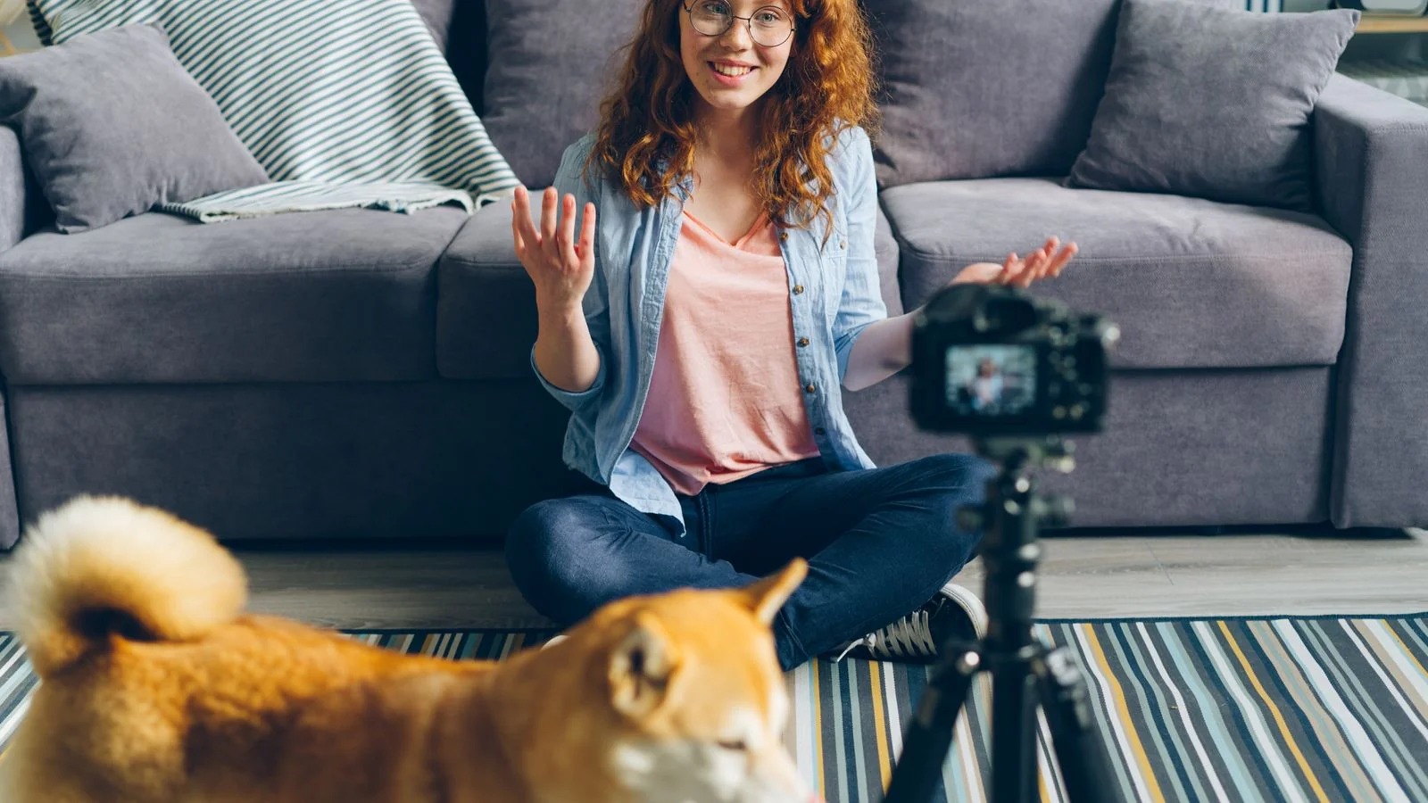 Content Marketing for Dog Trainers (2026 Playbook)