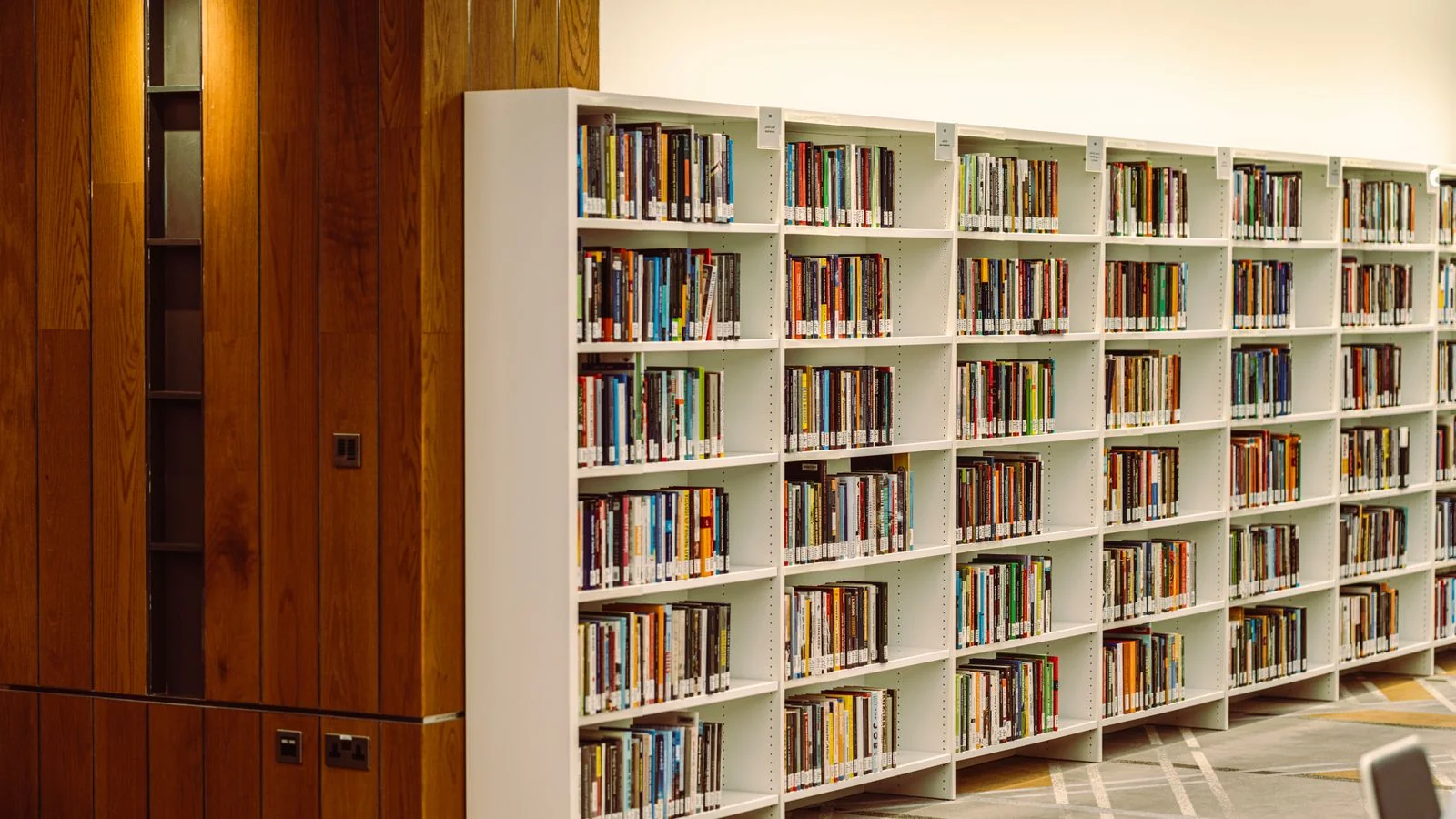 Rows of organized library shelving, the way a membership library looks to a member who cannot find what they need