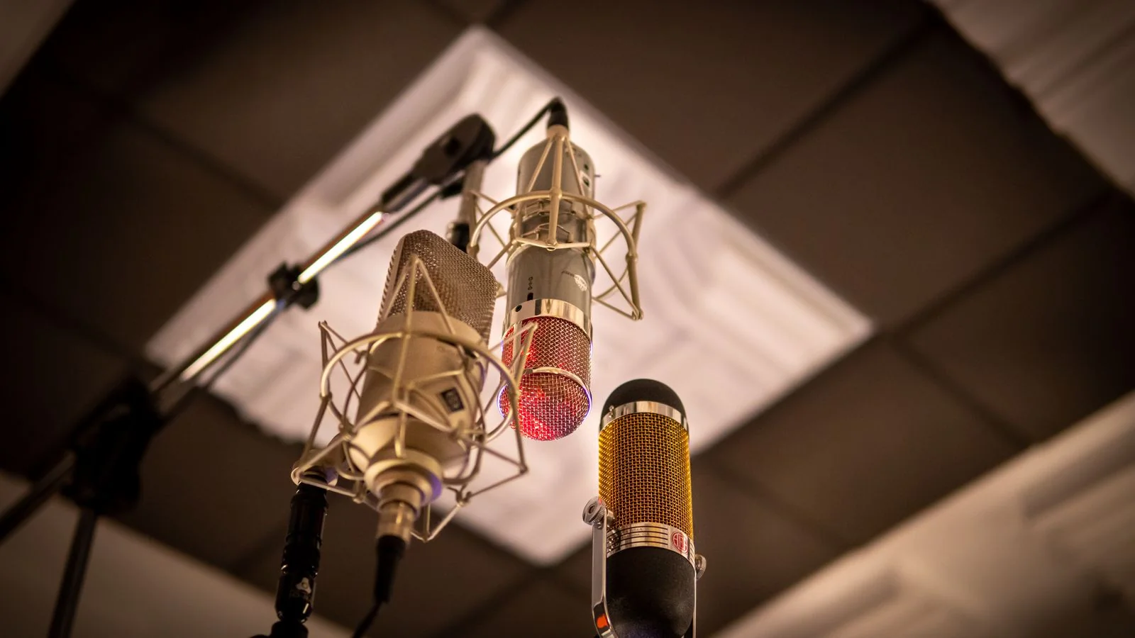 A microphone set up in a small recording studio