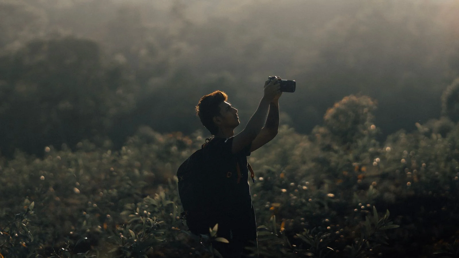 Google Knowledge Panel for Photographers (5 Steps)