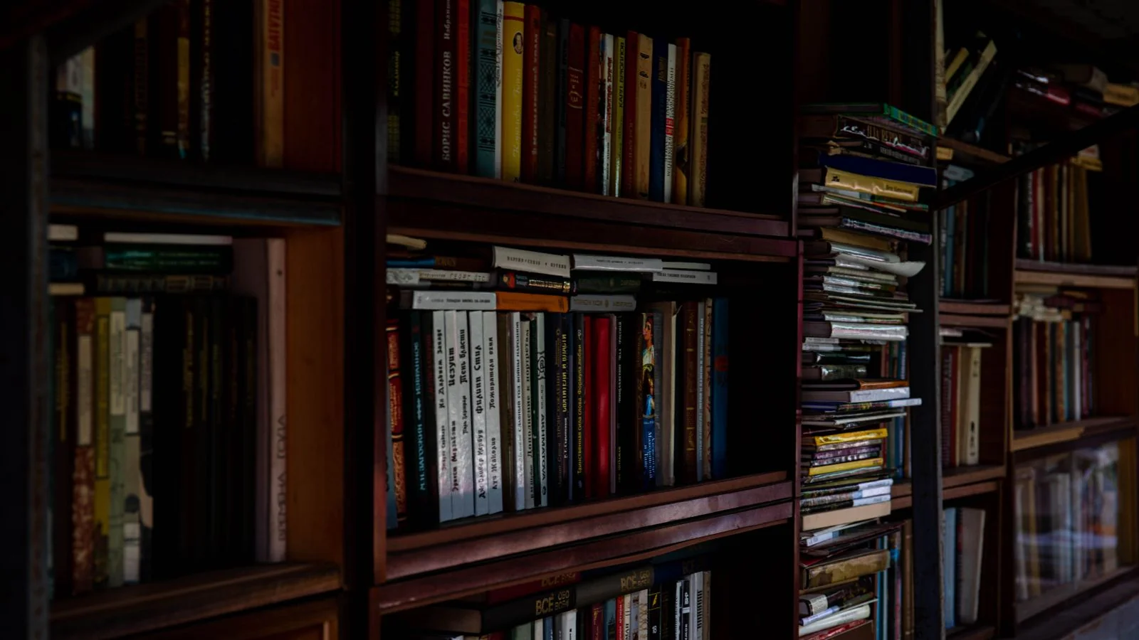 A dim bookshelf packed with books, like the frozen library of a model's training data