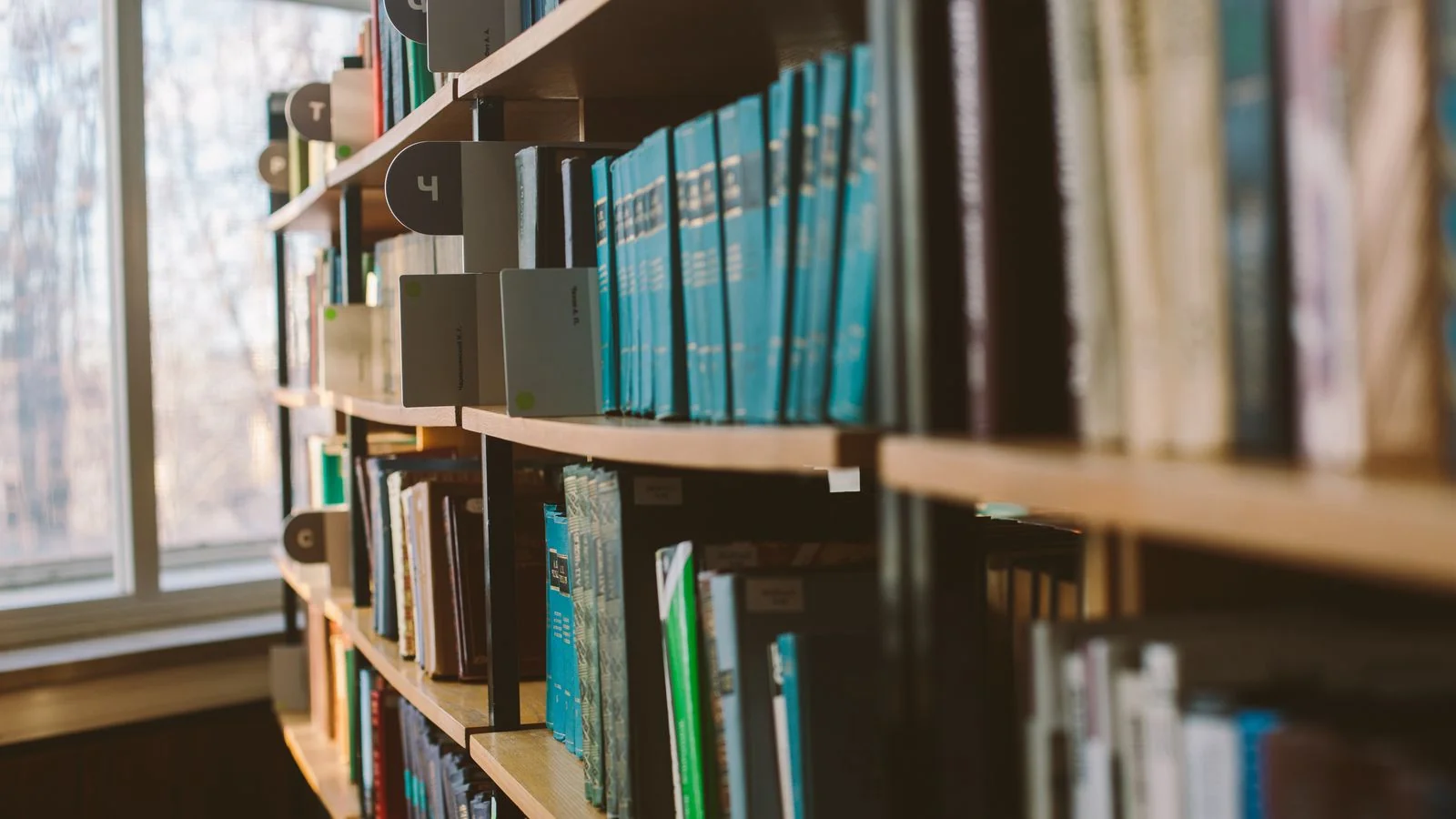 Close-up of organized books on a sunlit library shelf, the tiered structure a resource page uses to earn links