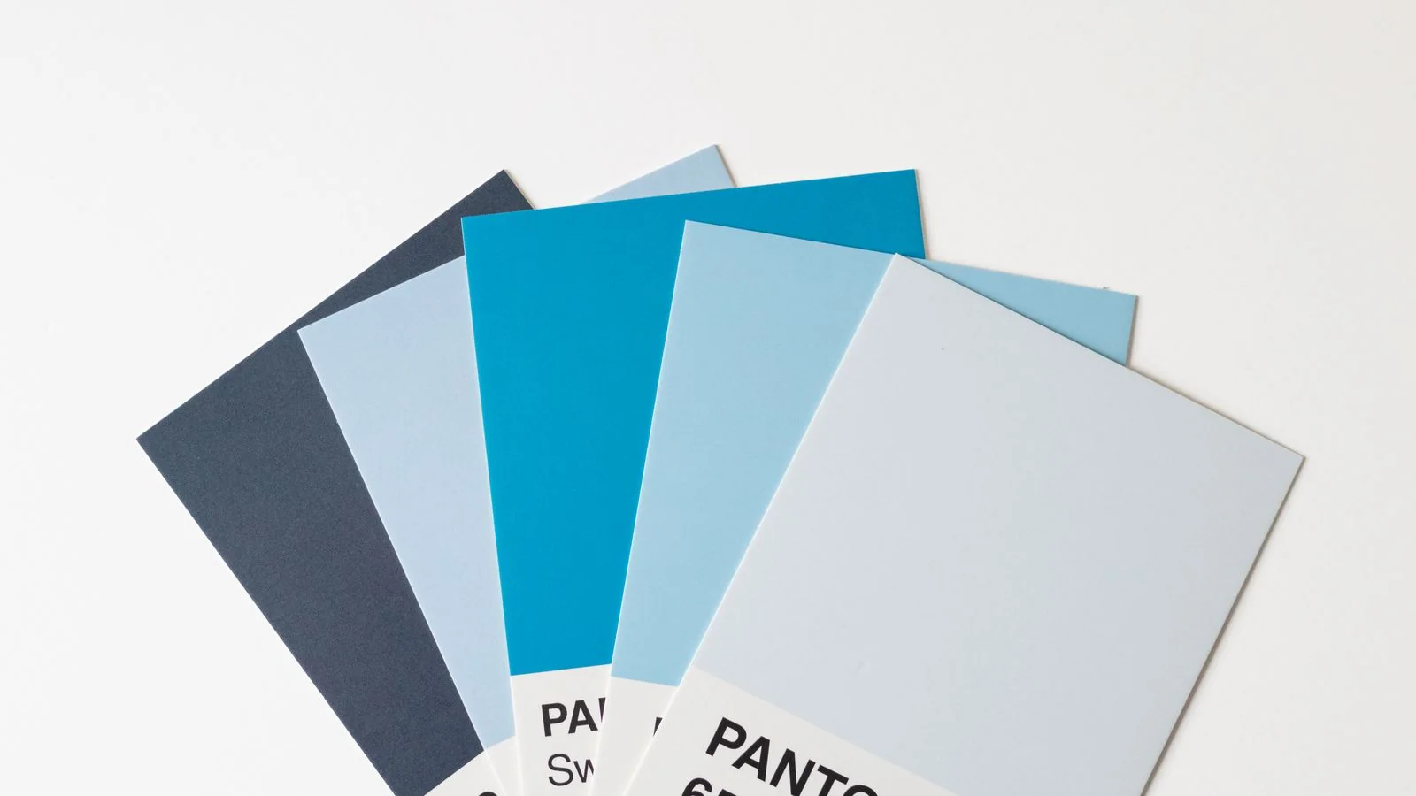 Pantone color swatches laid out, the kind of decision a brand document exists to lock down