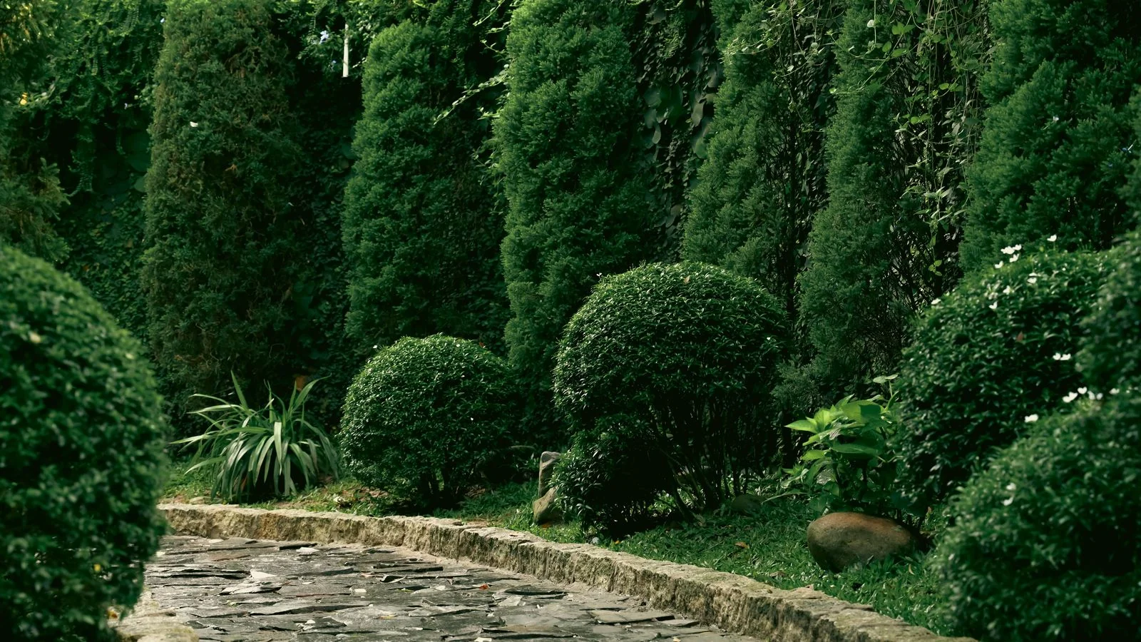 Stone garden path lined with clipped topiary, the kind of yard the BHG garden desk covers