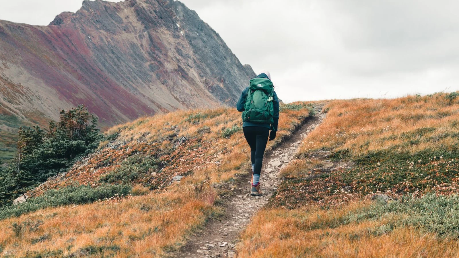 How to Get Featured in Lonely Planet: 5 Rules for 2026