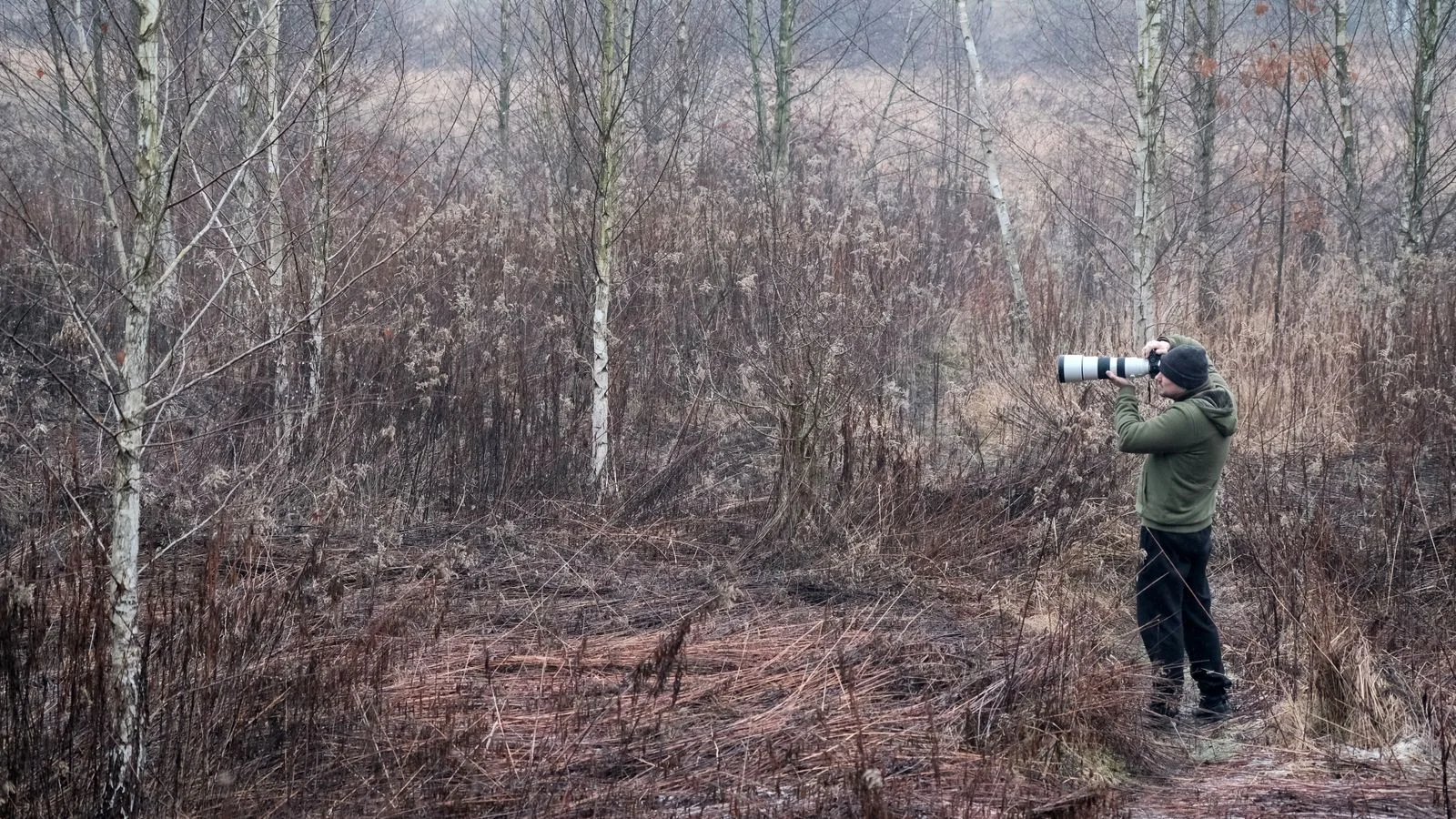 A photographer with a telephoto lens capturing nature in a misty forest