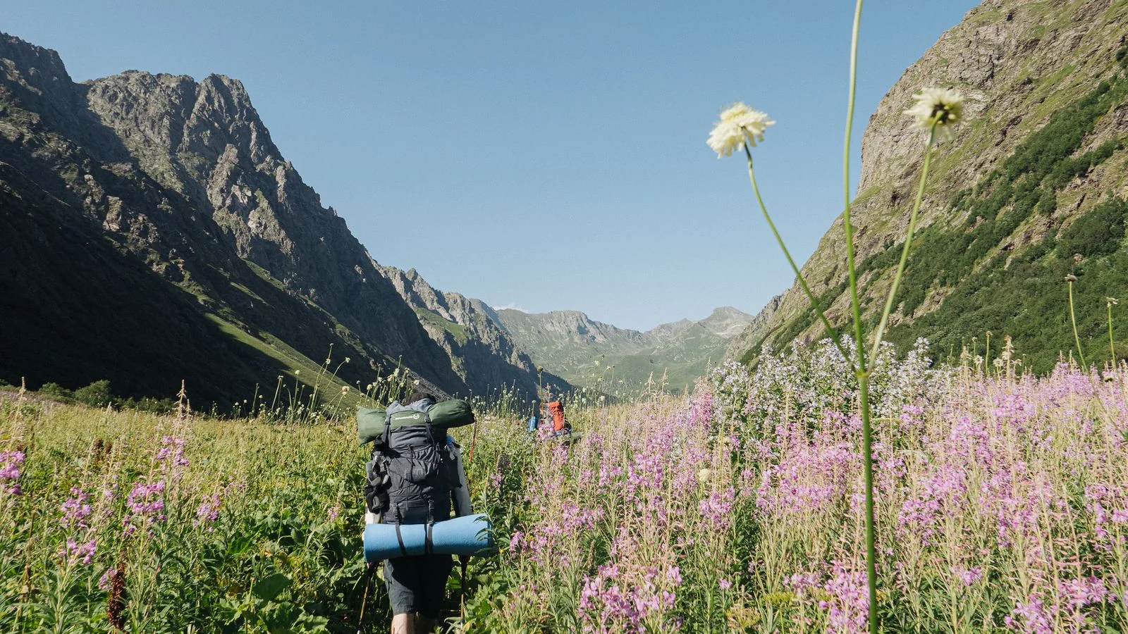 Backpackers crossing a wildflower valley below jagged peaks on a summer trek