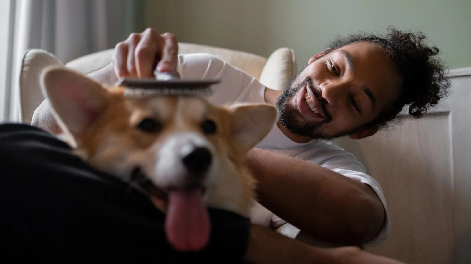 A pet owner grooming a happy corgi, the everyday care pet publications write about