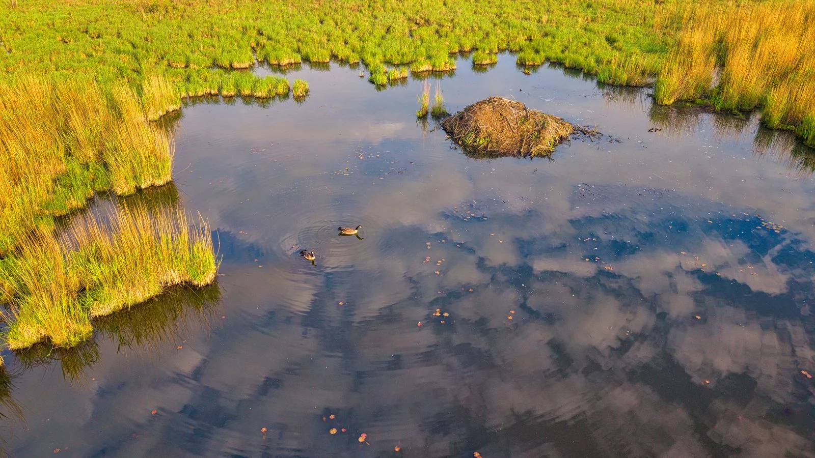 How to Get Press for Environmental Consultants in 2026
