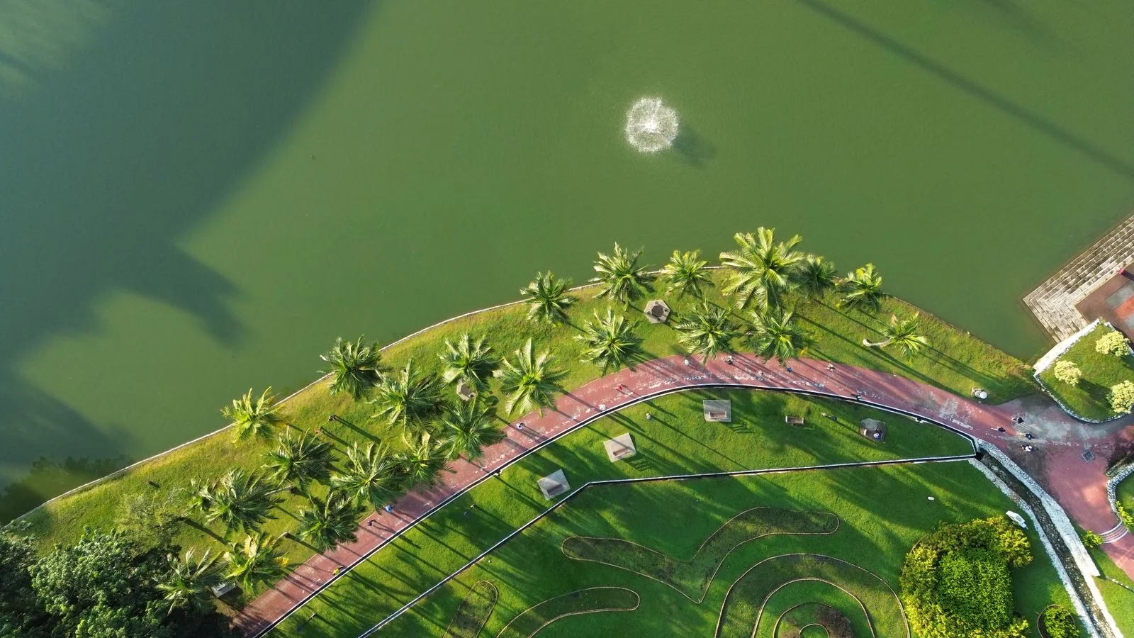 Aerial view of a green park with winding paths, the image to hand the city communications office.