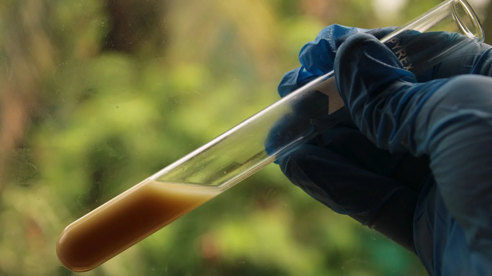 A gloved hand holding a water test vial outdoors, the public-health stakes behind every septic story.