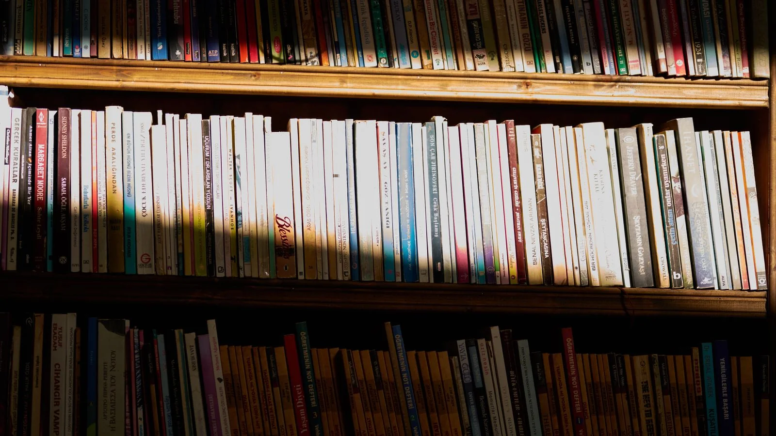 Sunlit library shelves lined with books, the research base behind Psychology Today's expert blogs