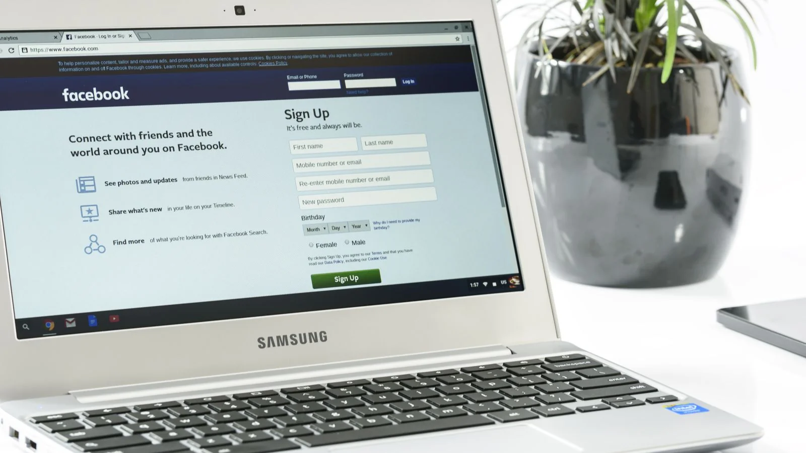 Open laptop displaying a sign-up screen next to a plant on a desk