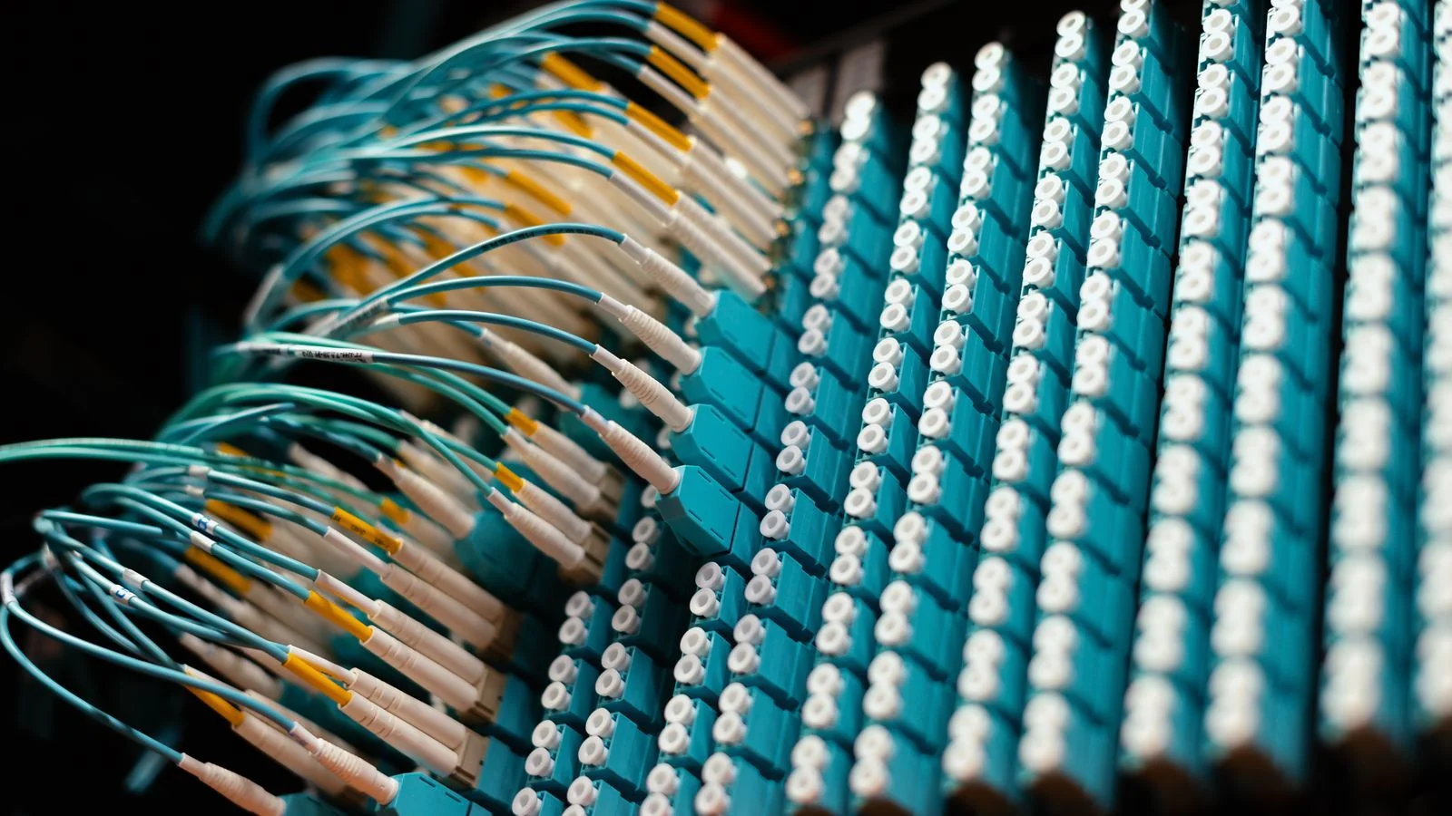 Rows of thin blue cables plugged into connectors, like linked data records