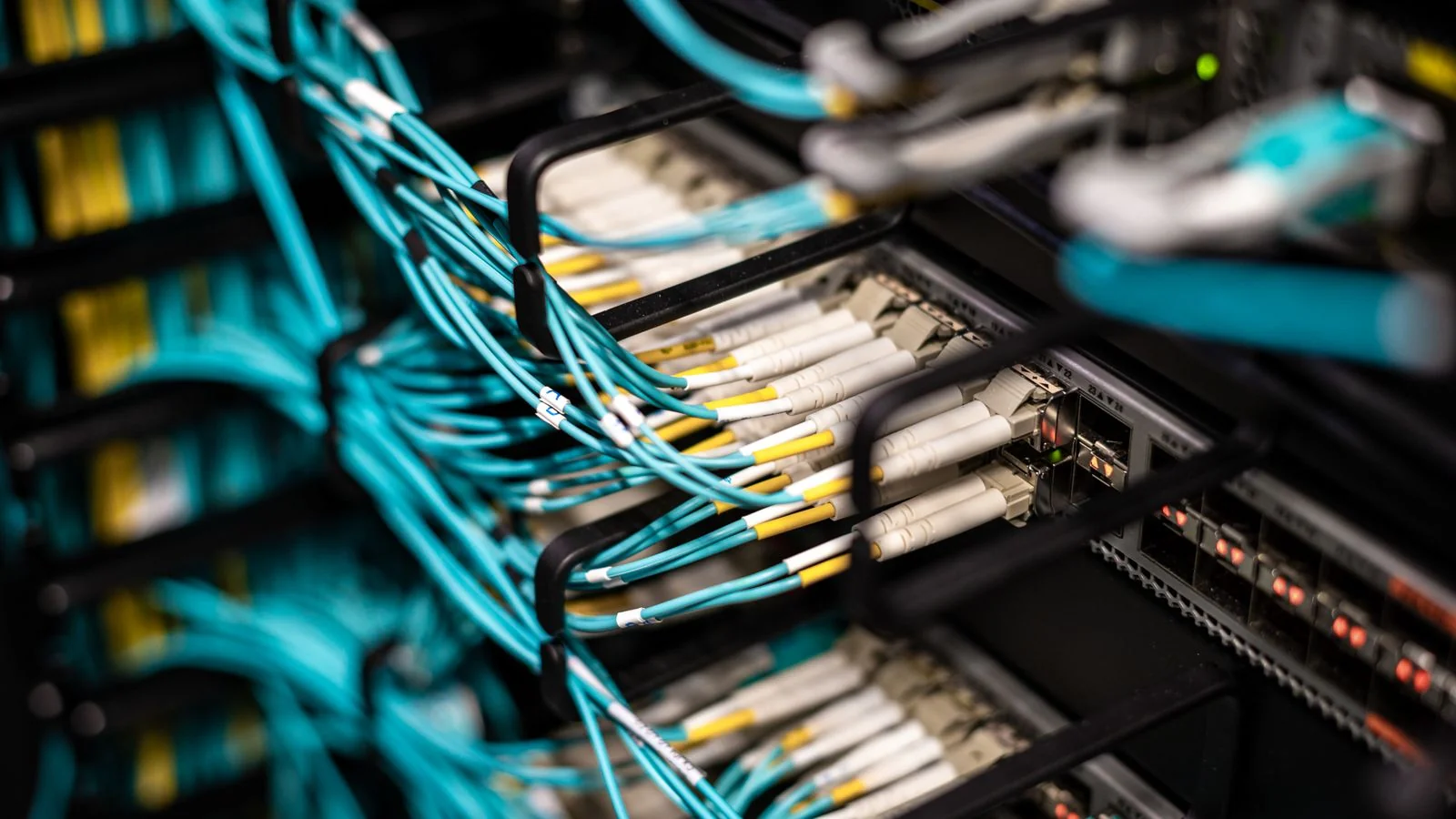 Server patch panel cables, the kind of plumbing a free press wire runs on