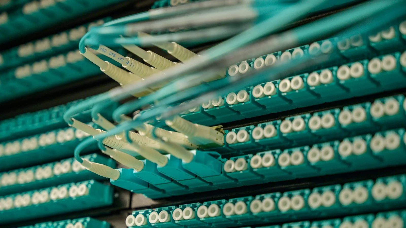 Fiber optic cables plugged into a server rack, the kind of infrastructure data brokers use to store and sell personal records