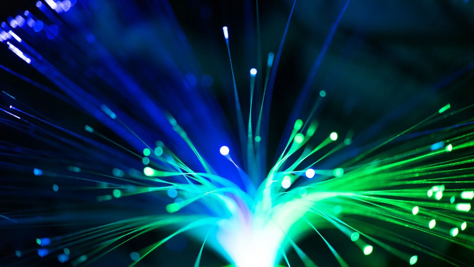 Blue and green fiber optic strands glowing, like the links that tie an organization's profiles together