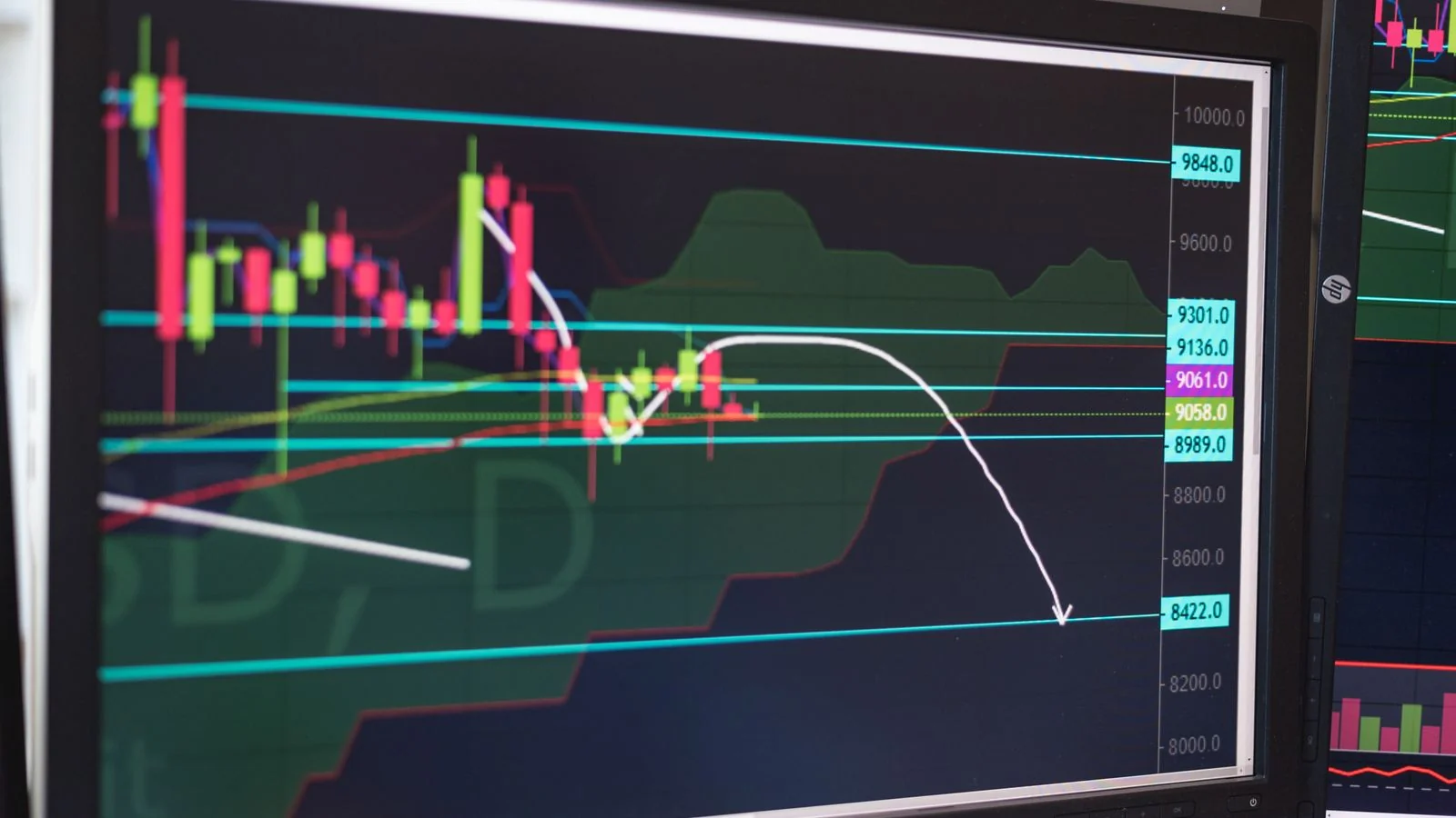 Close-up of charts on a monitor, comparing tracker pricing and visibility trends side by side