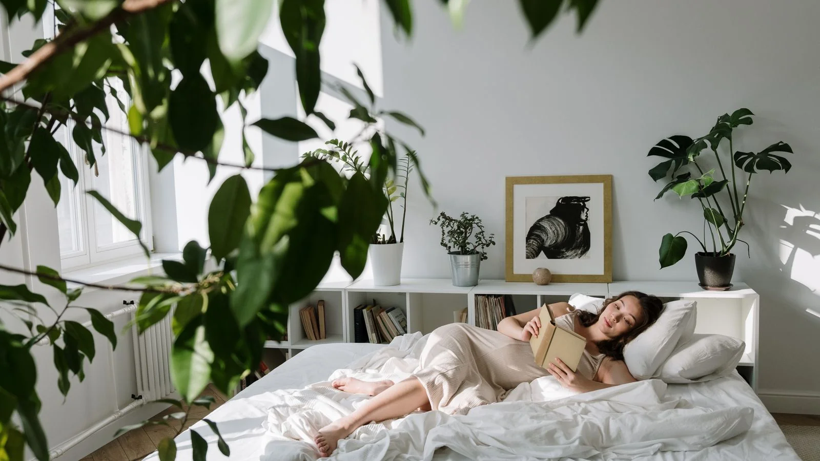 A guest reading in a sunlit, plant-filled room, the quiet a host has to design on purpose.