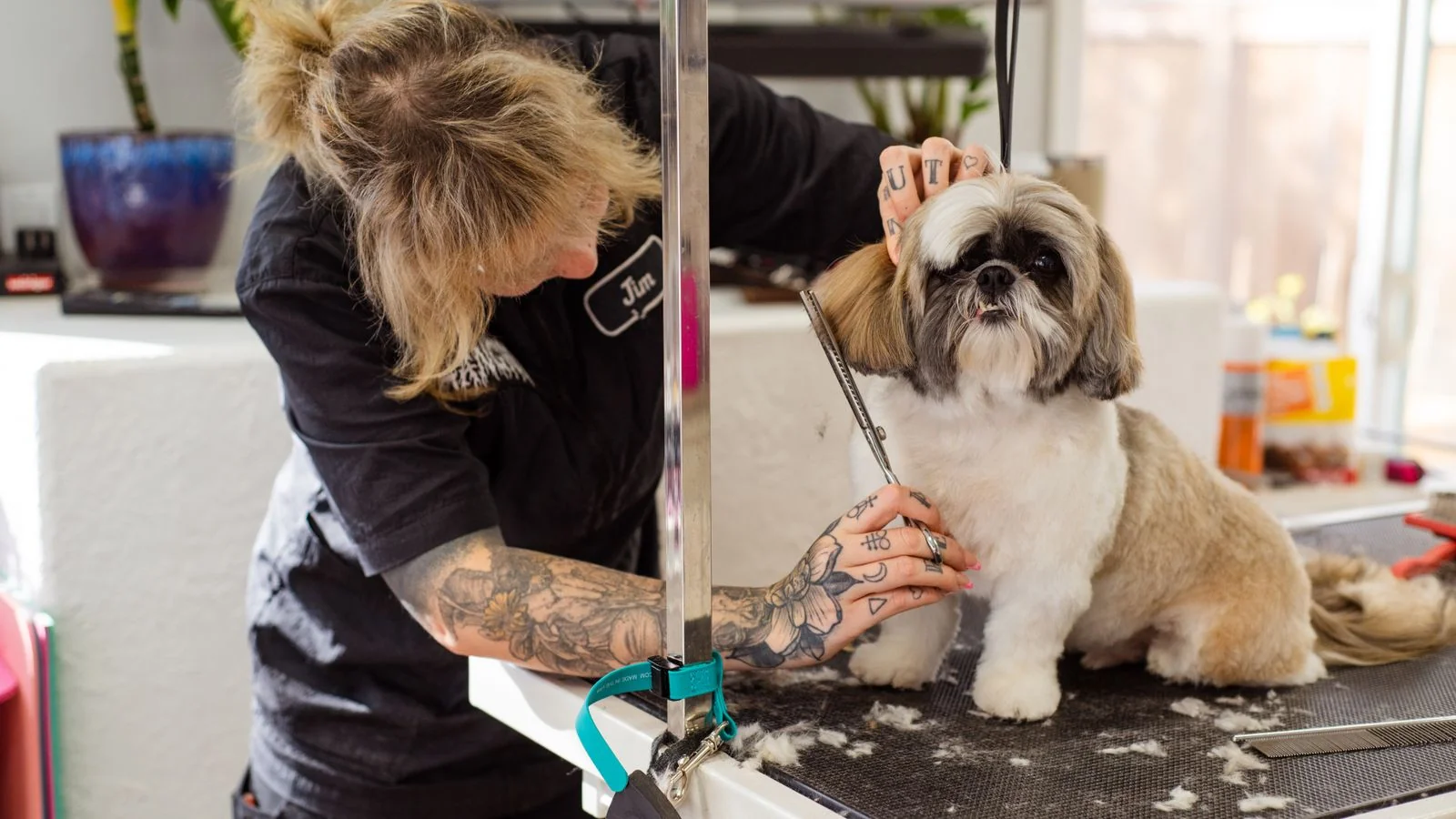 Personal Branding for Pet Groomers (7 Moves)