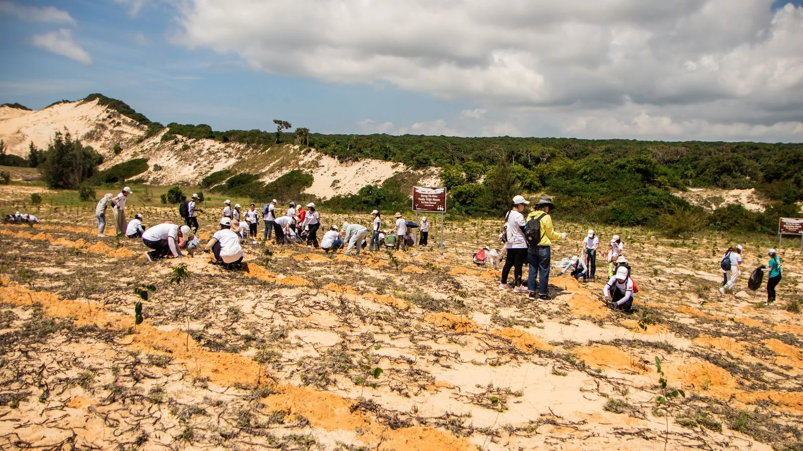 Volunteers planting trees on open terrain, a concrete CSR outcome worth naming