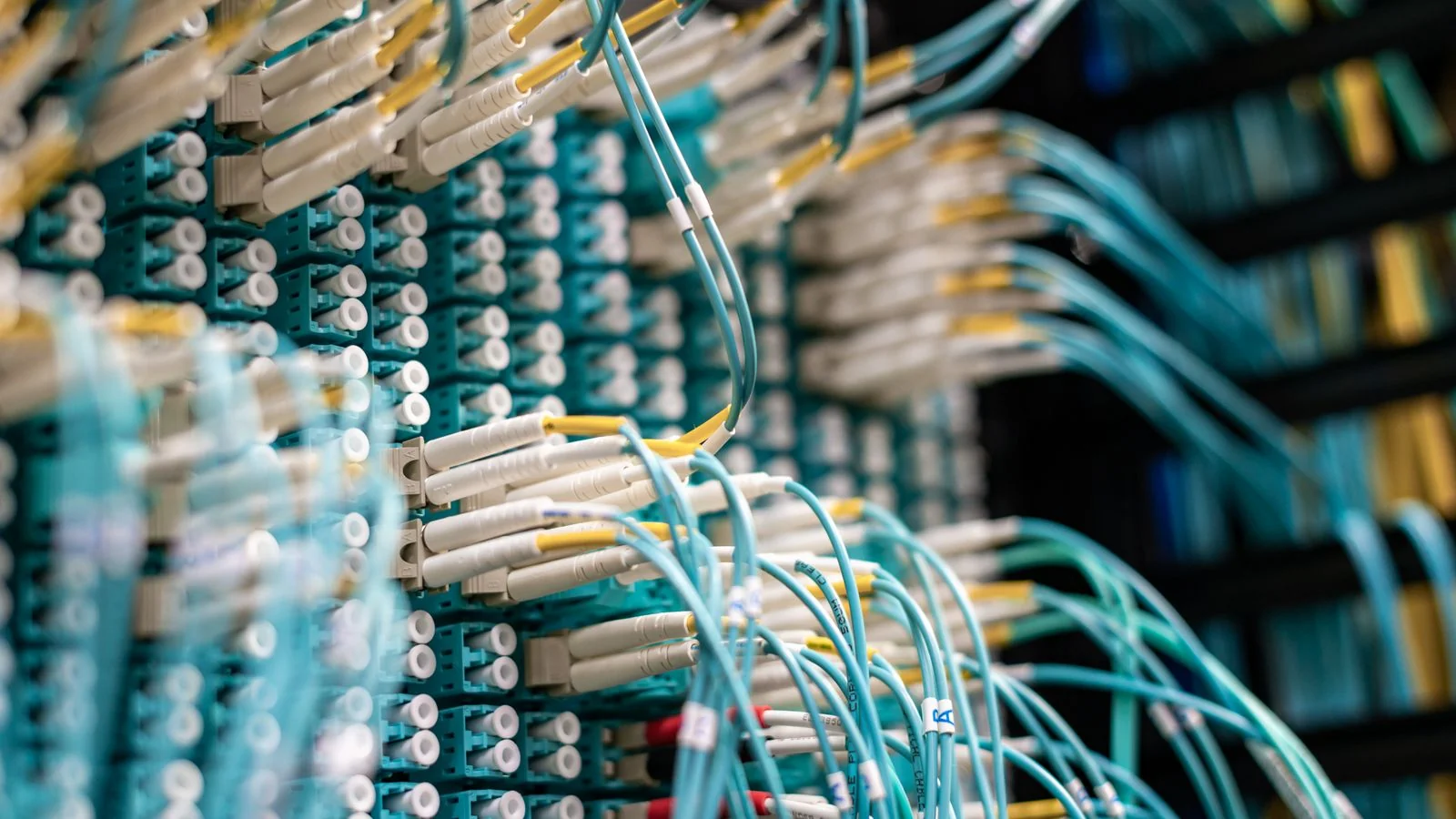Network cables plugged into a patch panel, the infrastructure behind a security incident disclosure