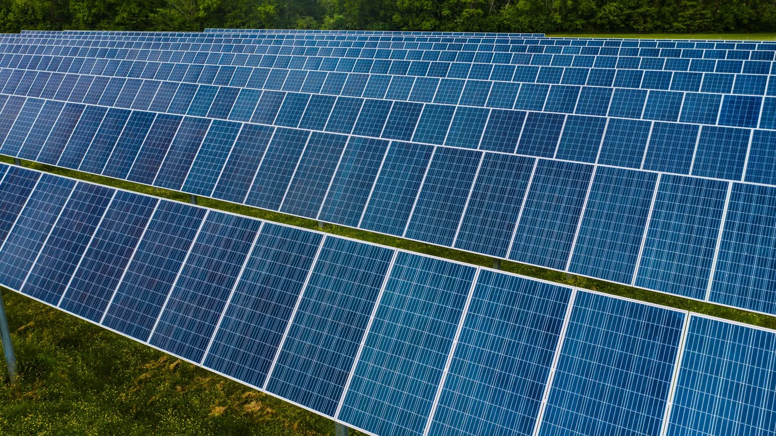 Solar panels stretching across a field, the kind of measurable proof a sustainability release needs