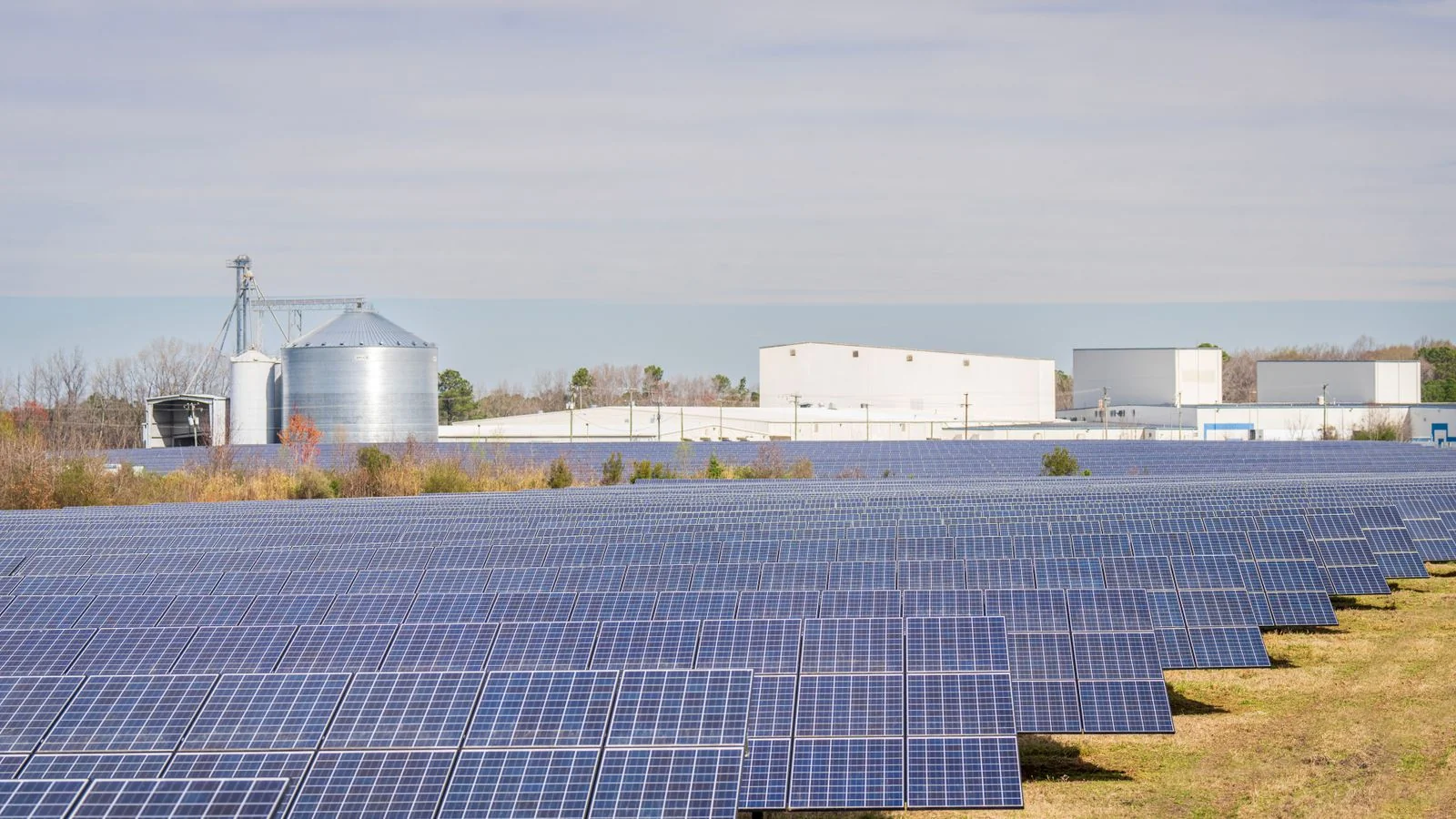 Reputation Management for Solar Installers (2026)
