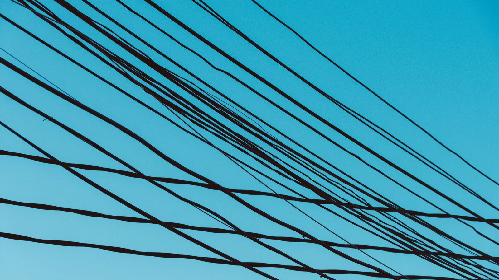 sameAs Schema: The 12 Links That Confirm Your Entity