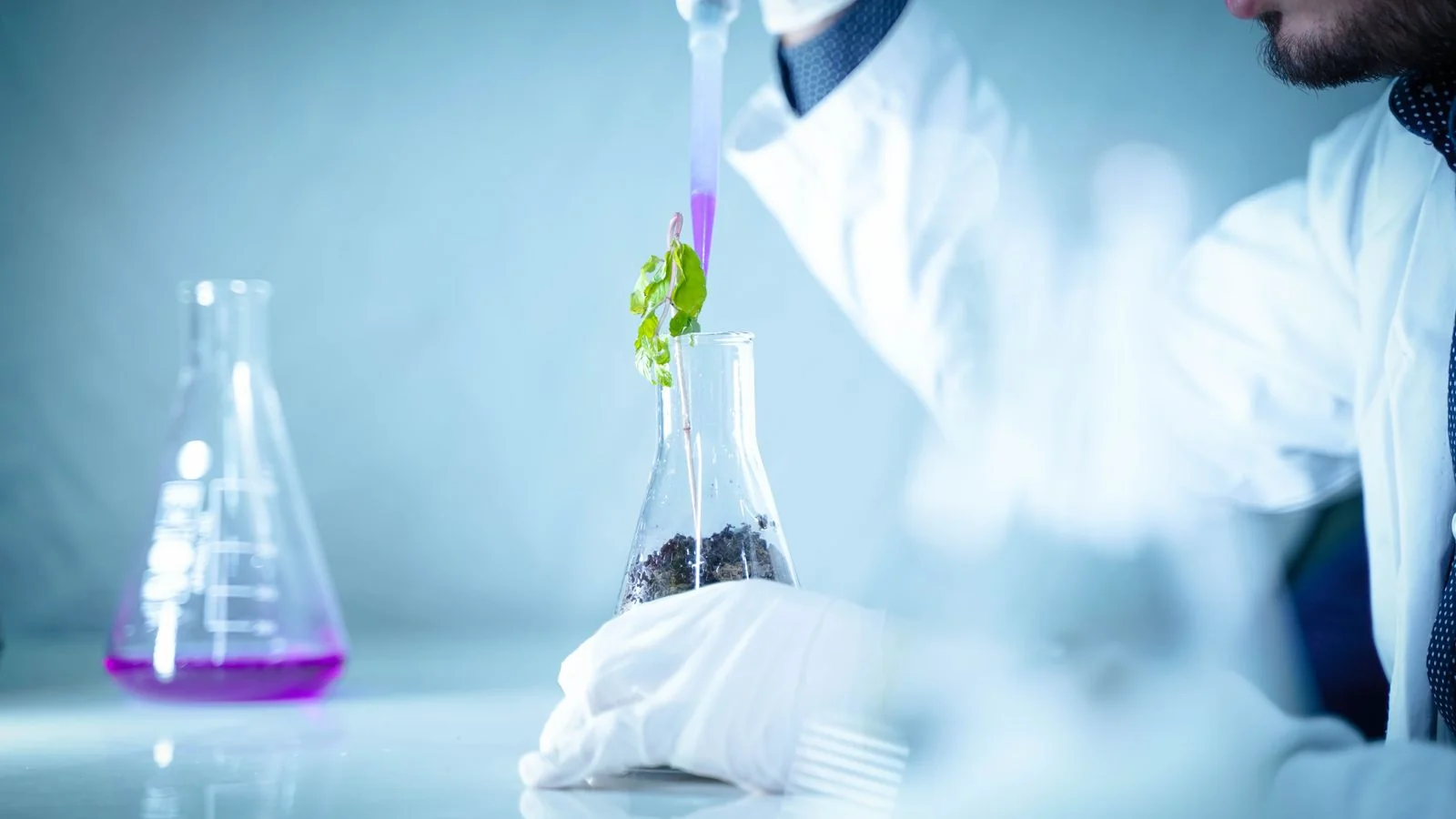 Chemist pouring solution into a flask of soil in a laboratory, the fieldwork behind every conclusion a client never sees.