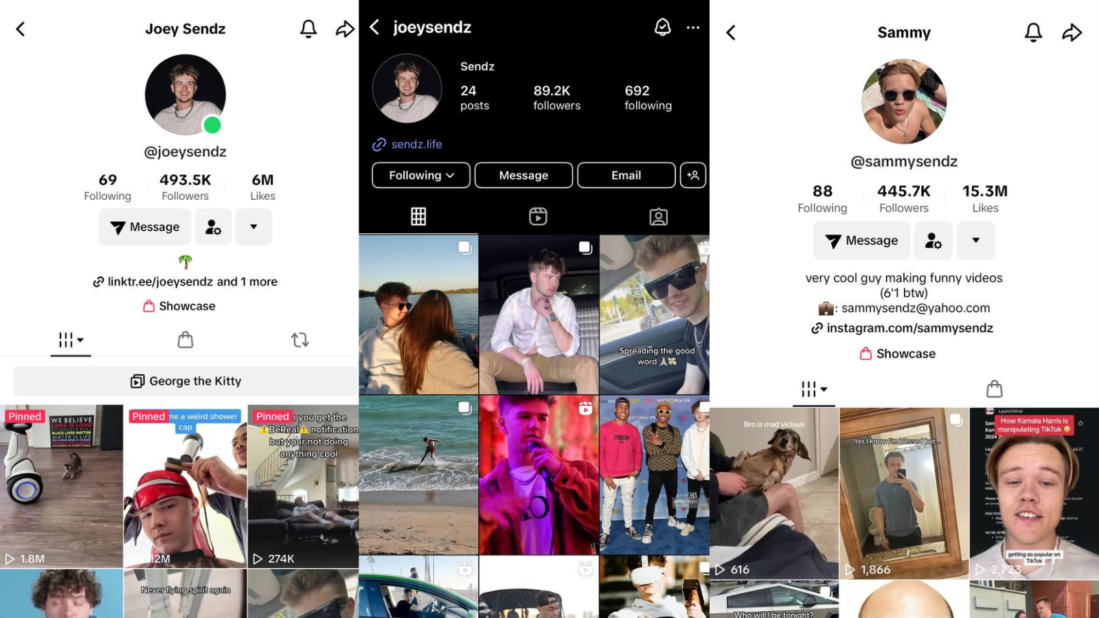 Social media mentorship